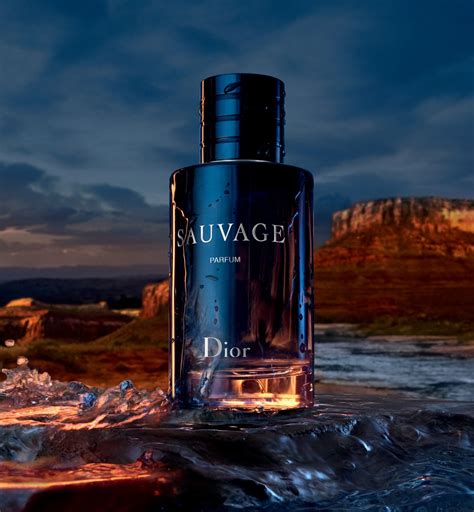 dior savange|dior sauvage website.